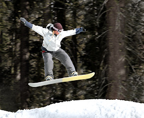 Image showing Girl on a snowboard