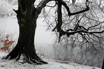 Image showing nature landscape