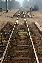 Image showing Corsica: Train Calvi to Ile Rousse