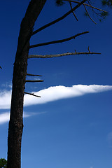 Image showing Corsican sceneries