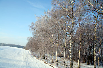 Image showing winter in denmark