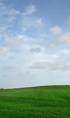Image showing Sky over green field