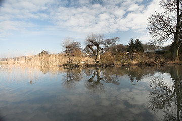 Image showing lake forest