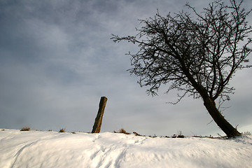 Image showing snowy winter