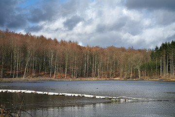 Image showing trees and lake