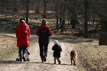 Image showing dog walk