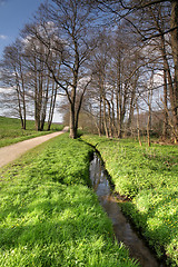 Image showing nature landscape