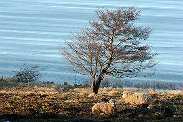 Image showing lake