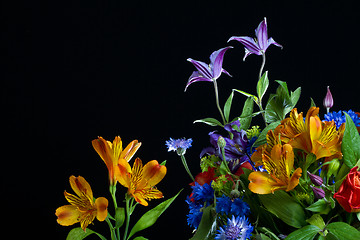 Image showing Flowers