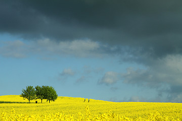 Image showing danish landscape01