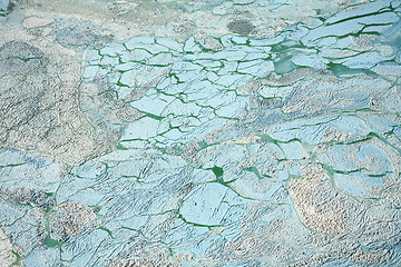 Image showing Blue-green algae