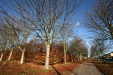 Image showing danish autumn