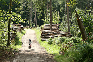 Image showing children playing