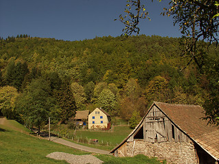 Image showing alsacian vineyards