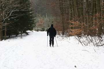 Image showing ski