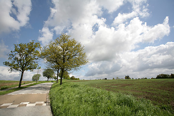 Image showing road