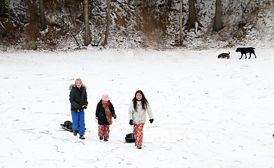 Image showing toboggan