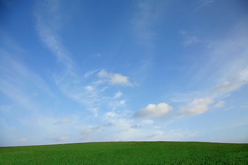 Image showing Sky over green field