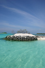 Image showing maldives islands