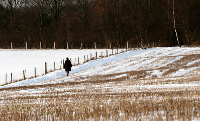 Image showing snowy winter