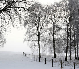 Image showing winter in denmark