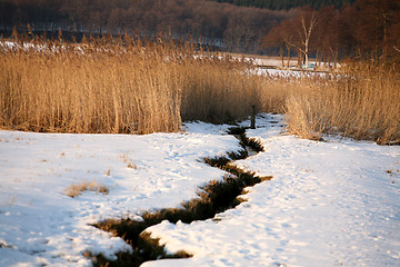 Image showing winter lake