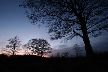 Image showing Sunset landscape