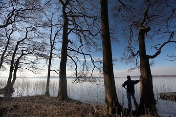 Image showing lake forest