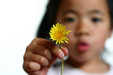 Image showing dandelion child