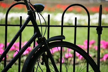 Image showing Bikes in Amsterdam