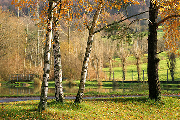 Image showing alsacian landscape