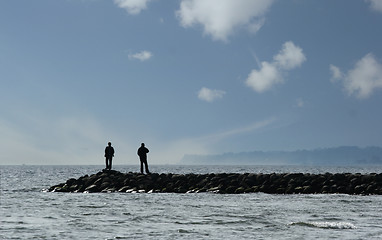 Image showing danish east  coast