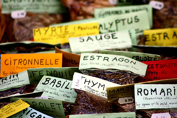 Image showing food corsica