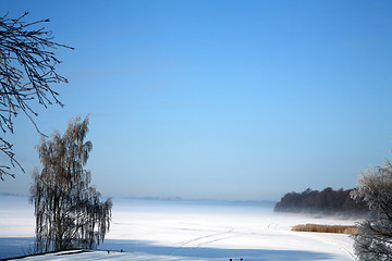 Image showing winter in denmark