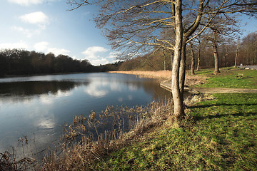 Image showing lake forest