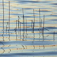 Image showing lake