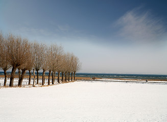 Image showing snowy winter