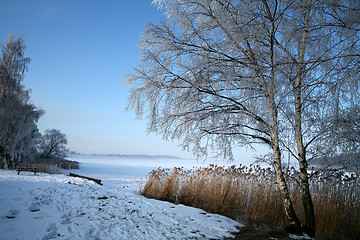 Image showing winter in denmark