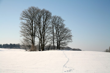 Image showing winter in denmark