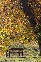 Image showing autumn bench