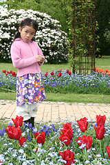 Image showing child flower