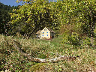 Image showing alsacian vineyards