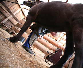 Image showing Blacksmith at work