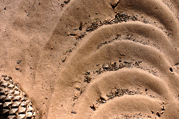 Image showing Pattern in the sand in Corsica