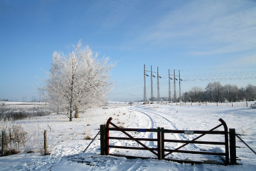 Image showing winter in denmark