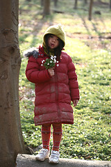 Image showing child flower