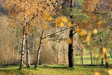 Image showing alsacian landscape