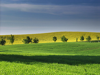 Image showing danish landscape01