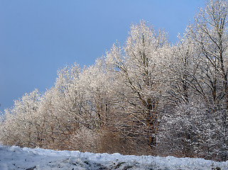 Image showing danish winter 