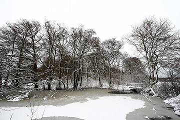 Image showing nature landscape